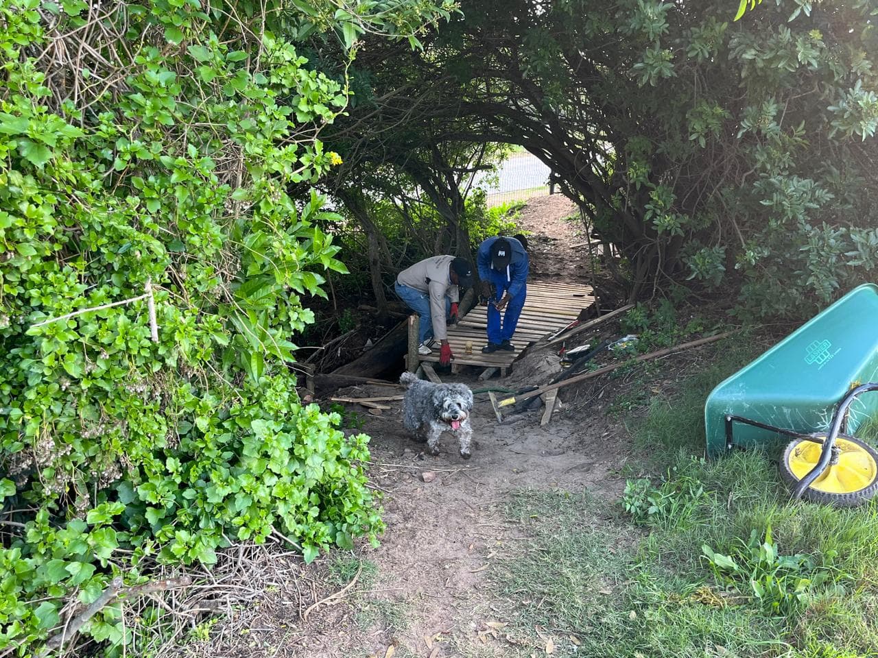 The PEGC trail team maintaining a bridge along the route